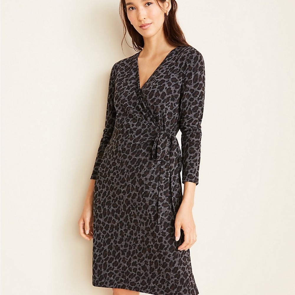 Ann Taylor Faux Wrap Dress SP NWT